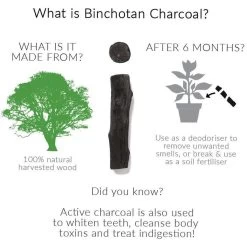 Black + Blum Binchotan Active Charcoal For Eau Good Water Bottles 4-pack -Thuiskeuken 1200x1200 614