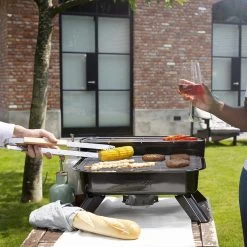 Princess 112252 Hybride Barbecue – Elektrische BBQ - Tafelmodel - 2000W - 44x 29cm - Gebruik Elektrisch Of Met Kolen -Thuiskeuken 1200x1200 939