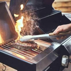 Burnhard Gas BBQ FRED JR. Deluxe - 2 Branders - Incl. Keramische Infraroodbrander & Afdekhoes - Deluxe -Thuiskeuken 1200x1200 946