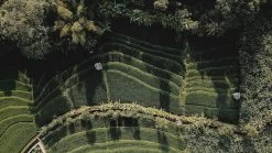 Sola Bestekset Bali - Modern - 9 Persoons - 90 Delig - Zilverwit Edelstaal 18/10 - RVS - Zilver -Thuiskeuken 1200x675 16