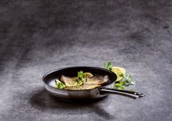 BK Allround Koekenpan Ø 24 Cm - Inductie - PFAS-vrij 20 BK Allround Koekenpan Ø 24 Cm - Inductie - PFAS-vrij -Thuiskeuken 1200x851