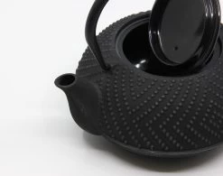 Bredemeijer - Theepot Fujian 1.2L Met Filter -Thuiskeuken 1200x945 4