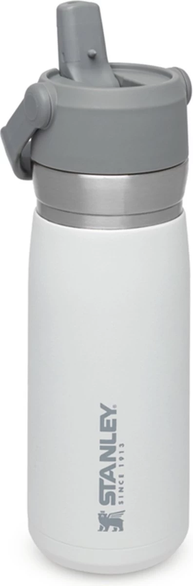 Stanley The IceFlow™ Flip Straw Water Bottle 0,65L - Thermosfles - Saffron 18 Stanley The IceFlow™ Flip Straw Water Bottle 0,65L - Thermosfles - Saffron - Afbeelding 16